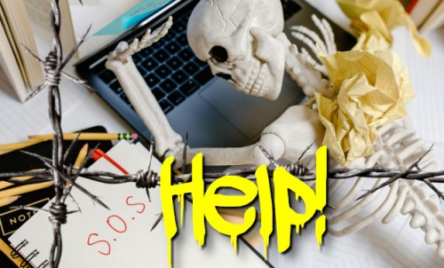 Website Design